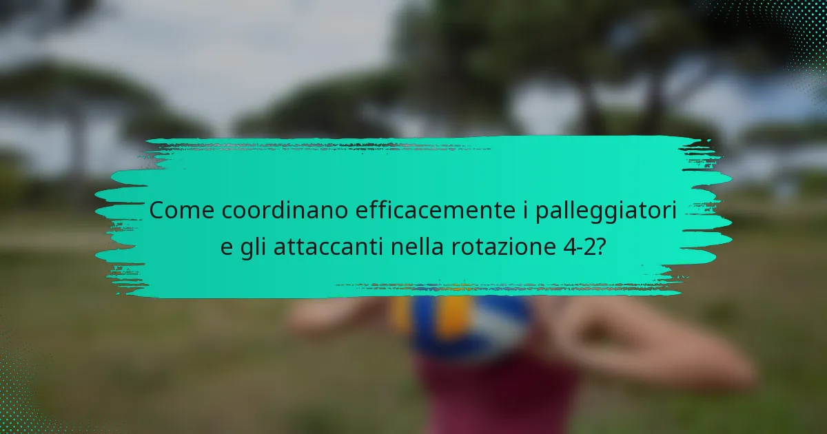 Come coordinano efficacemente i palleggiatori e gli attaccanti nella rotazione 4-2?